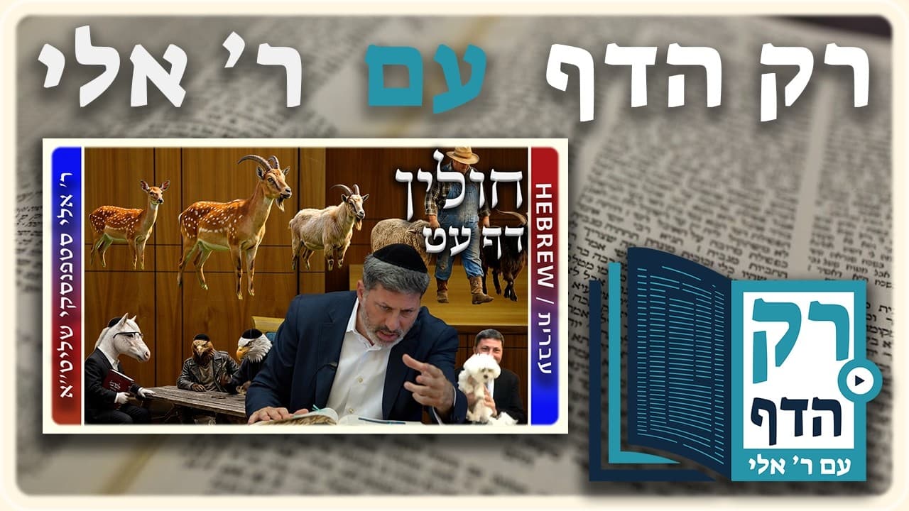 חזרה - חולין דף עט | "רק הדף" עם ר' אלי סטפנסקי