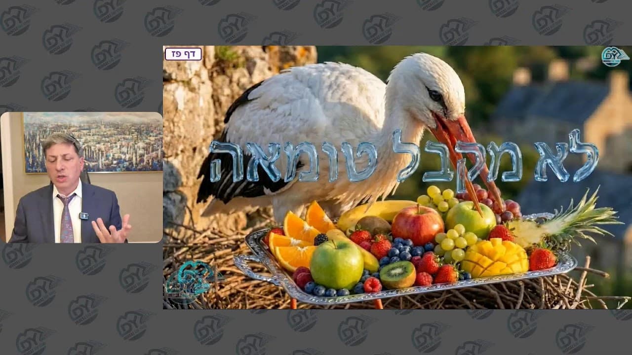 (מרכז דף יומי חולין פז. ר' אלי סטפנסקי שליטא (לא ערוך