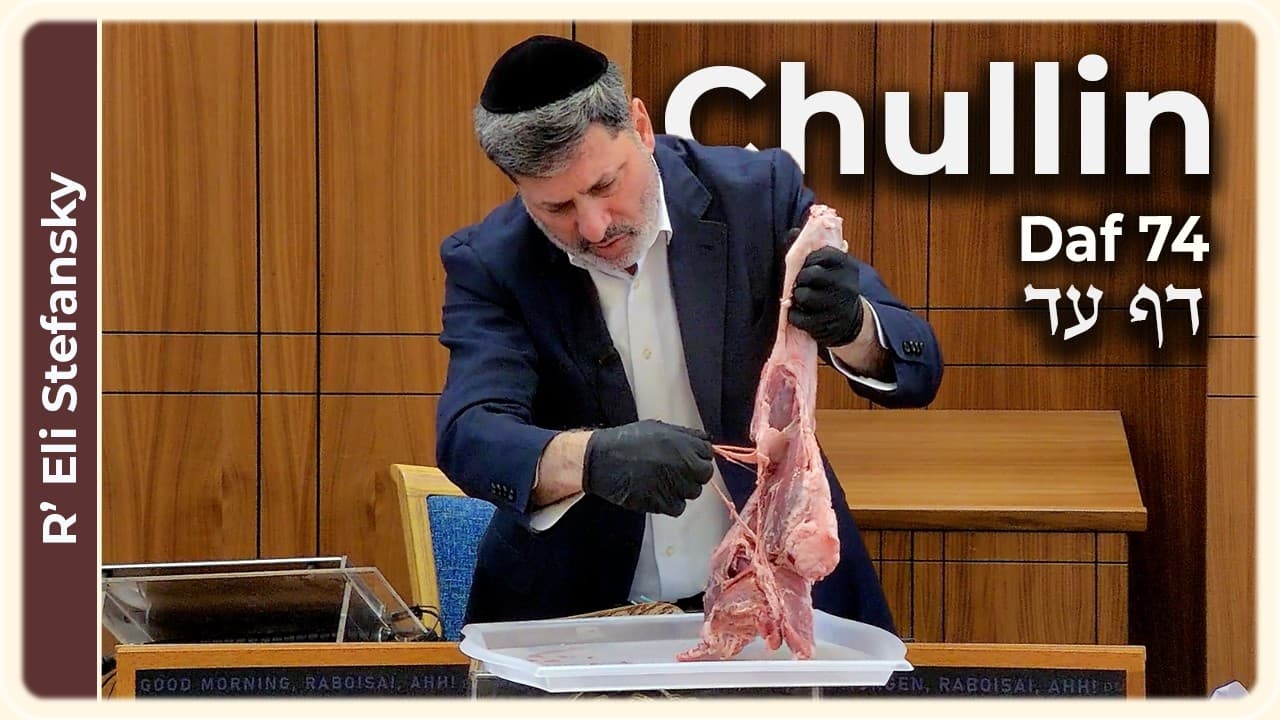 Daf Yomi Chullin Daf 74 by R' Eli Stefansky