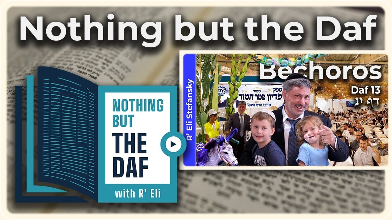 CHAZARAH - Bechoros Daf 13 | "Nothing but the Daf" with R' Eli Stefansky
