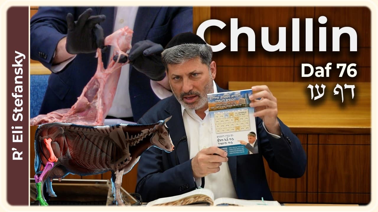 Daf Yomi Chullin Daf 76 by R' Eli Stefansky