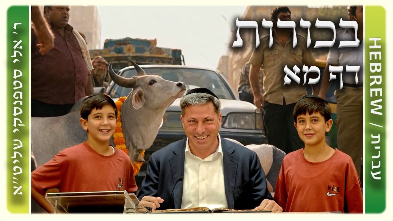 מרכז דף יומי - בכורות דף מא. - ר' אלי סטפנסקי שליט"א