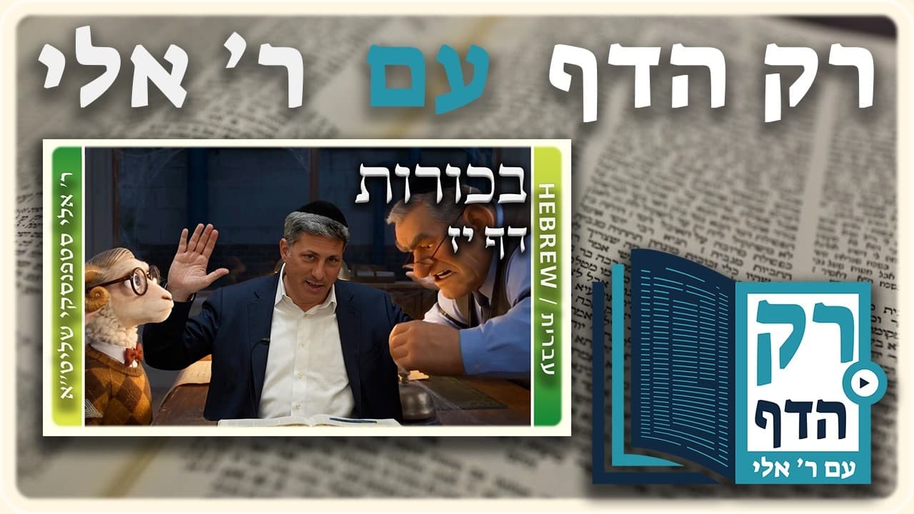 חזרה - בכורות דף יז | "רק הדף" עם ר' אלי סטפנסקי