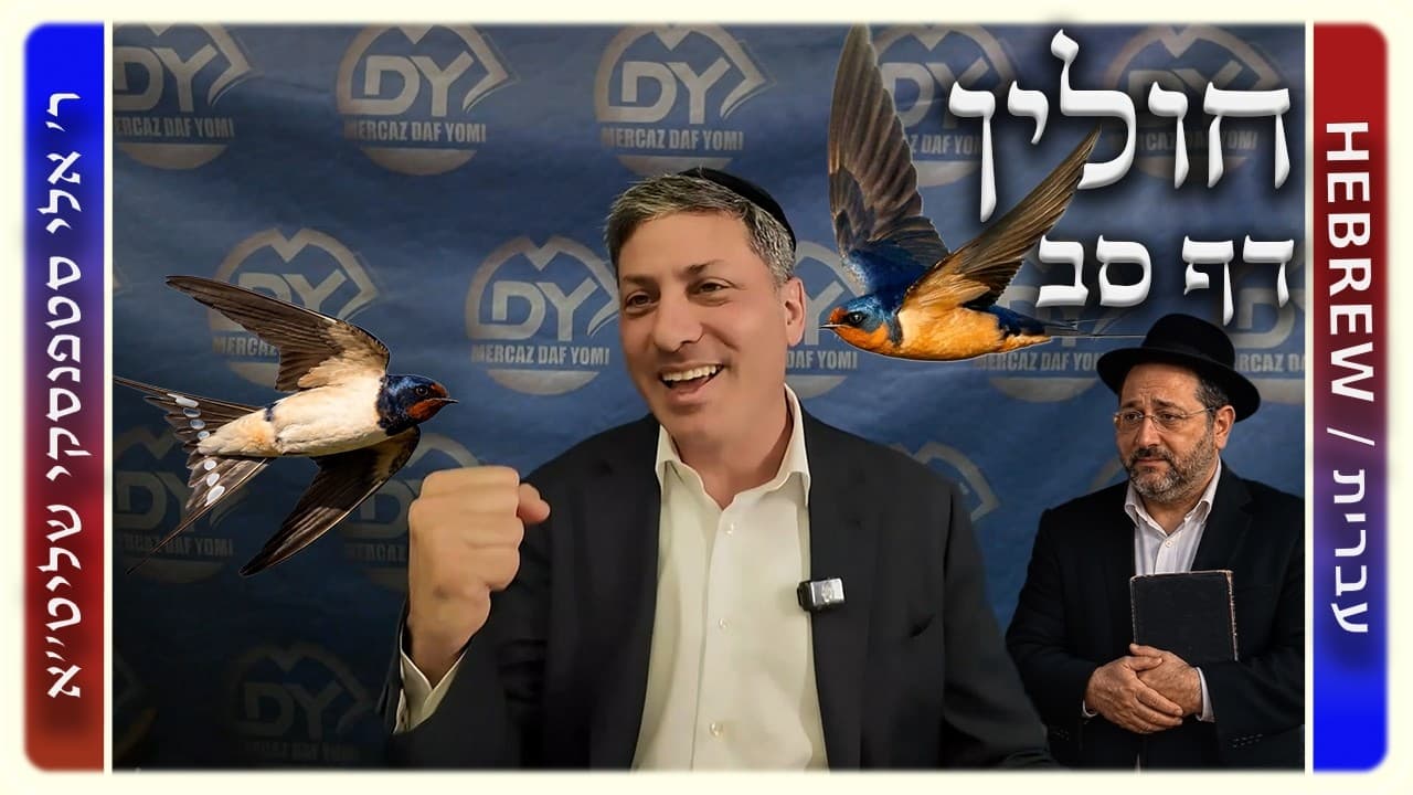 מרכז דף יומי - חולין דף סב. - ר' אלי סטפנסקי שליט"א