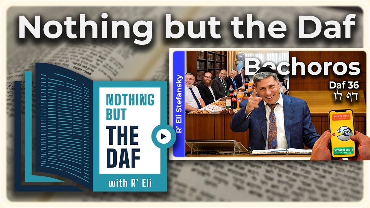 CHAZARAH - Bechoros Daf 36 | "Nothing but the Daf" with R' Eli Stefansky