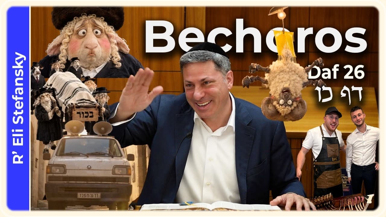 Daf Yomi Bechoros Daf 26 by R' Eli Stefansky