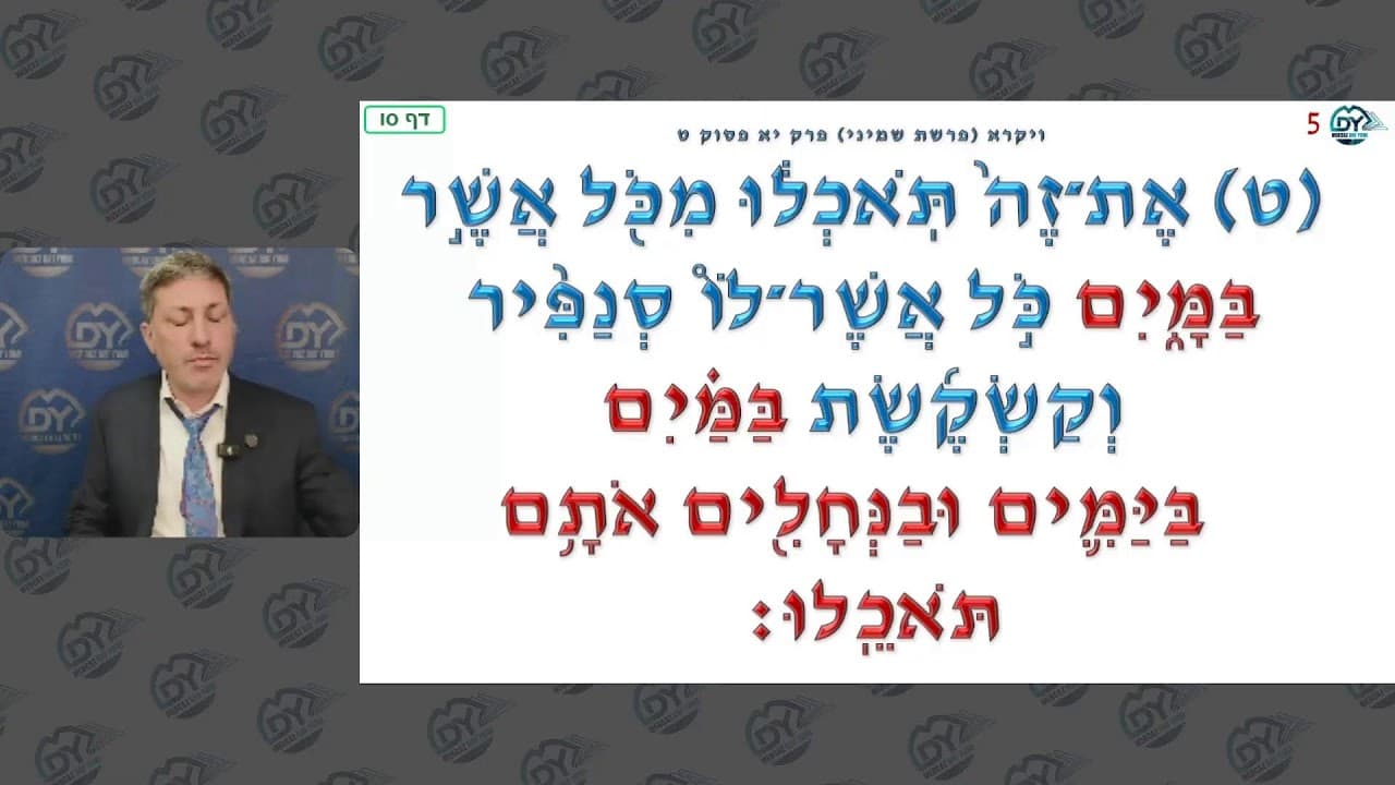 (מרכז דף יומי חולין סו. ר' אלי סטפנסקי שליטא (לא ערוך